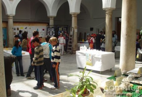 La IV Feria de las Ciencias ha recibido la visita de unos 700 alumnos 