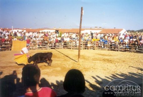 Peraleda se prepara para sus Ferias y Fiestas 2009 